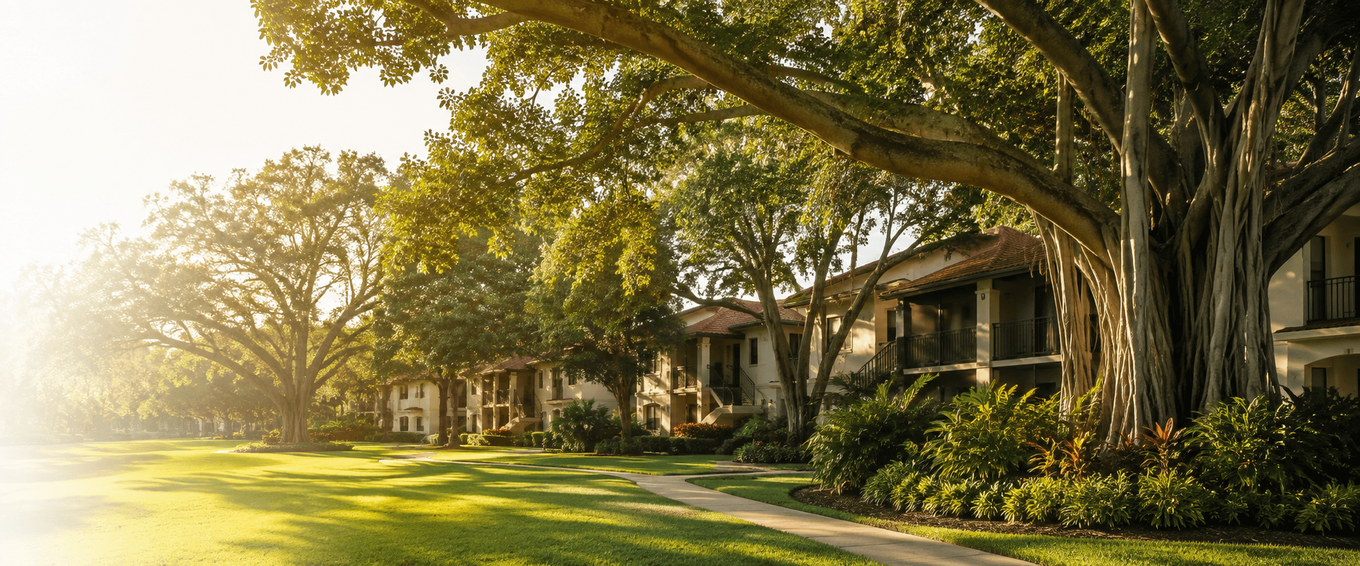 Banyan Ridge